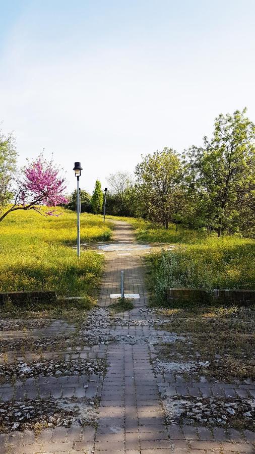 Casarava Sul Parco 3 Camere 2 Bagni Riccione Ngoại thất bức ảnh